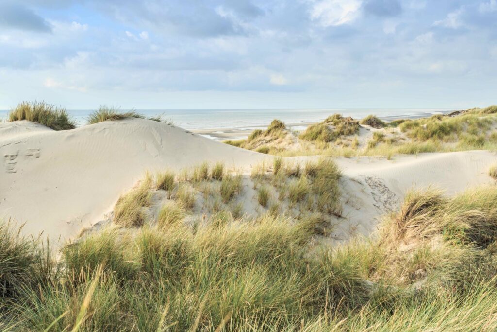 Baie d'Authie ∏ B. Bremer