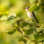 Envol Environnement